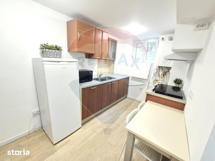 Spatiu in vila 5 camere | Ideal Office | Kiseleff Doroban?i - 10