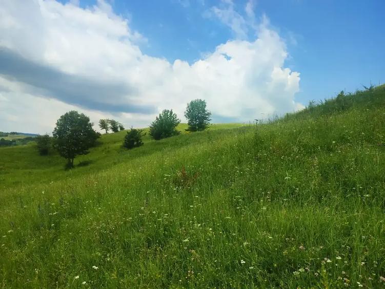 Teren intravilan de 46800 mp, în Gura Beliei