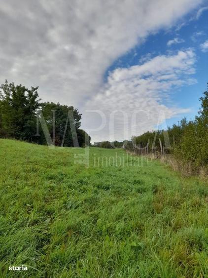 Teren intravilan agricol de vanzare in Betfia Bihor , Oradea - 4