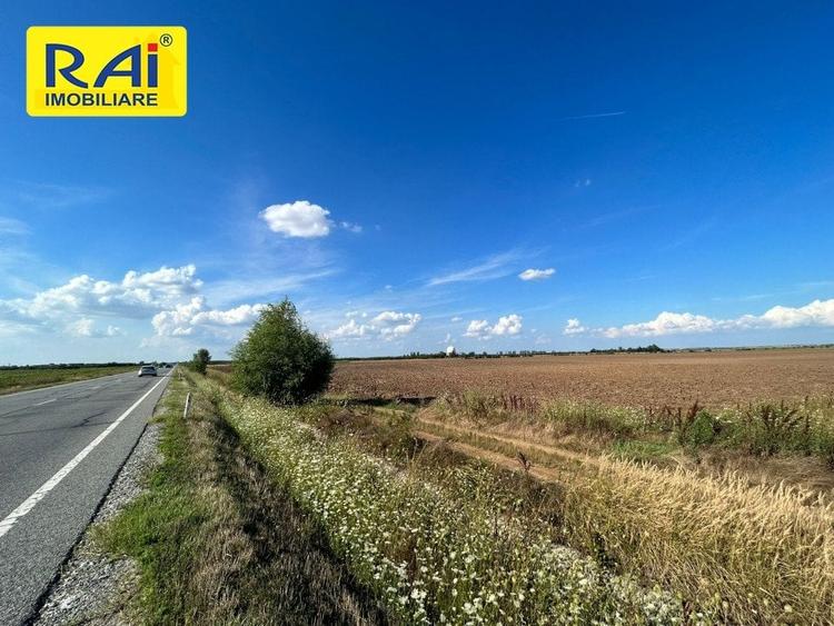 Terenuri cu deschidere 20m la Centura in suprafata  de 5950 mp si 6481 mp - 2