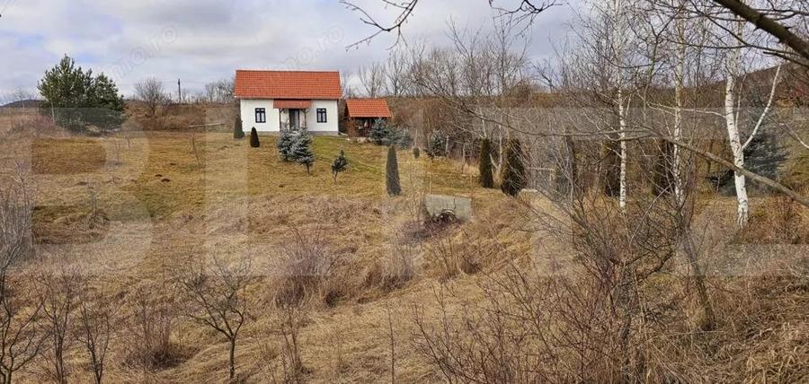 Oaza de lini?te in Arcus casa P+M cu teren de 2000 mp - 11