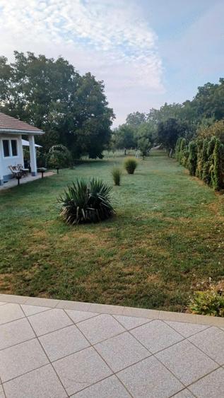 BRASADAS vinde casa in zona Careiului. - 4