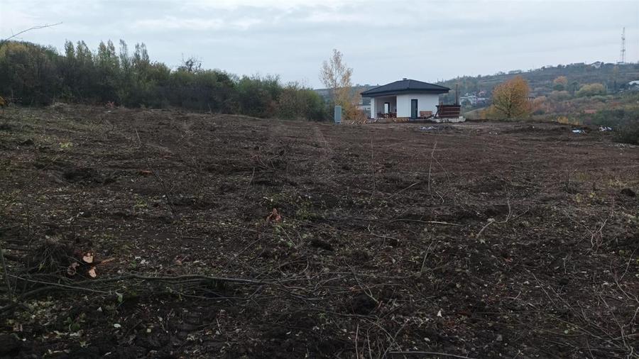 RECO . Teren in Podgoria . - 2