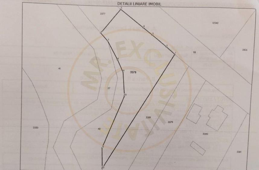 Teren intravilan 1843 mp - Cerbu/Albota/Arges - cu proiect d - 5