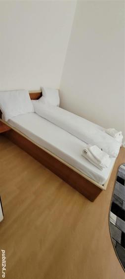 Apartament 2 camere Parter Baile Herculane - 1