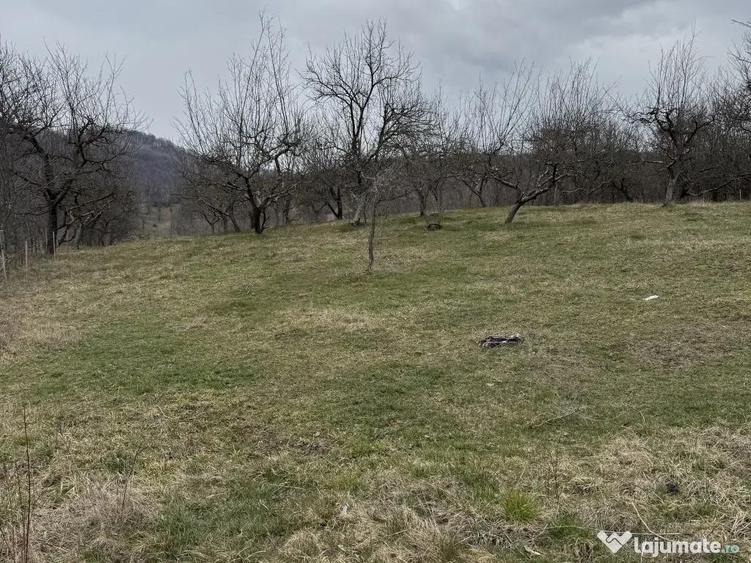 Oportunitate ! Teren Intravilan 3.000 mp, Lini?te, Spa?iu, Construc?ii Imediate - 3