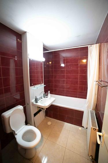 3 Camere Alexandru cel Bun , decomandat mobilat si utilat, 350Euro - 2