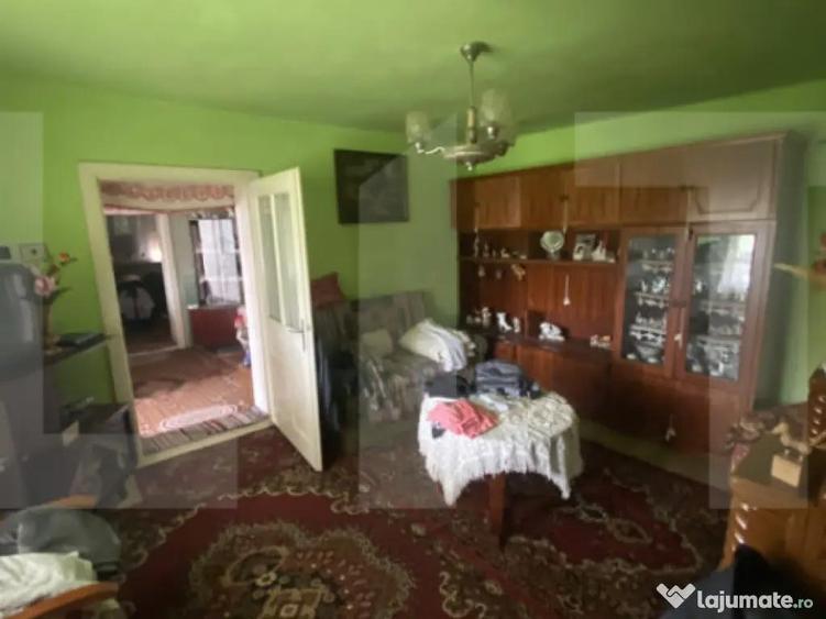 Casa tradi?ionala cu teren generos Belin - 6