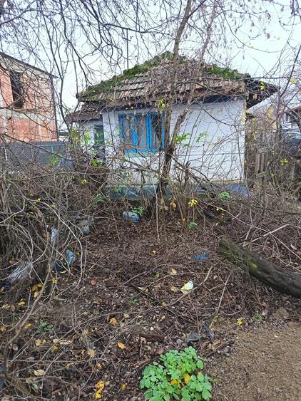 Teren 8000 MP cu casa Demolabila - 4