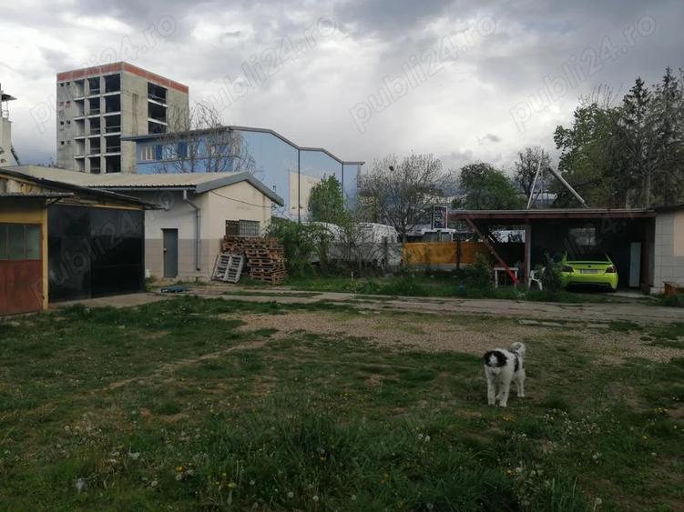 Inchiriez hala si locuri de parcare in curte ingradita pe Calea Torontalului - 5
