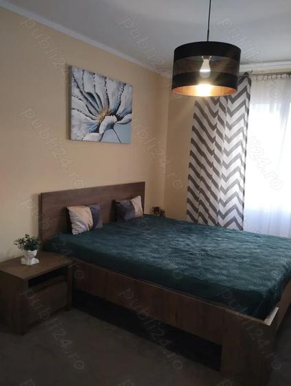 Ultracentral, 2 camere decomandate, Et. 1, Scara inchisa, Recent renovat exterior, Intrare auto - 3