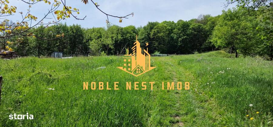 Teren extravilan 2200 mp - Budeasa Mica, Arges - 6