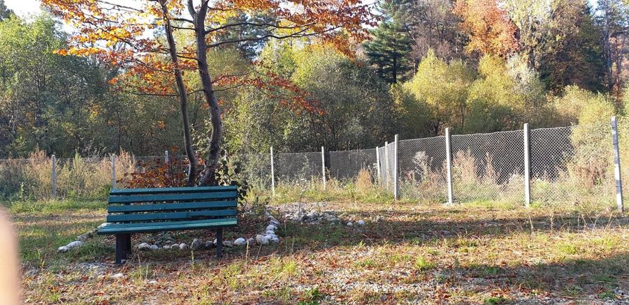 Teren rezidential Bunloc zona de case - 4