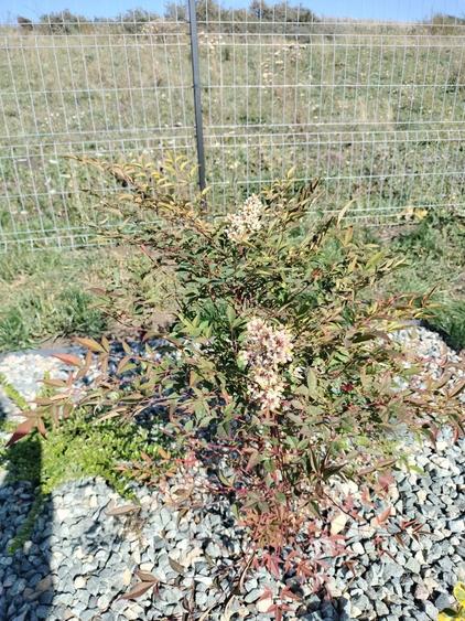 Ofer gradina de relaxare si stat in tihna, in Cluj-Napoca - 6