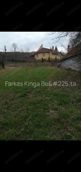 Casa de vanzare cu 21 ari de teren intravilan