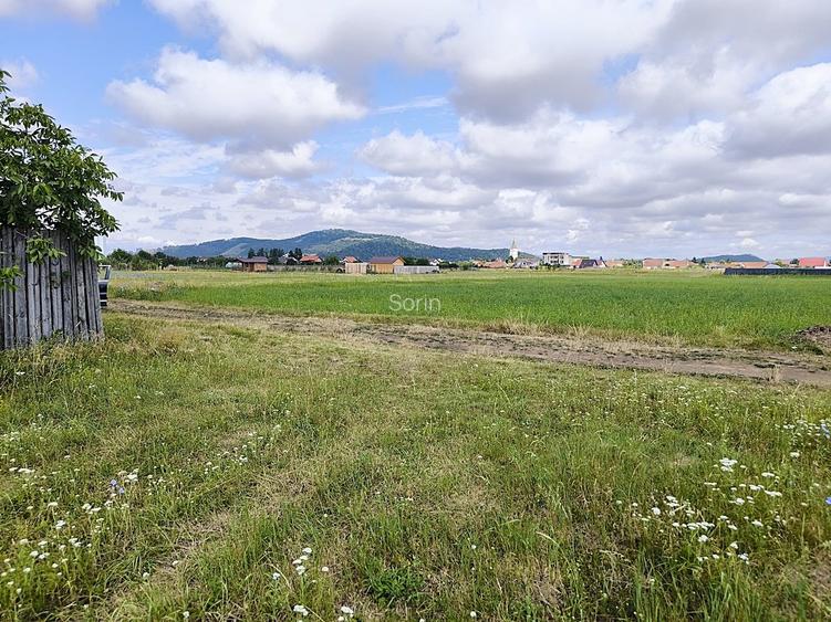 Hărman - Brașov, teren intravilan 450 mp.