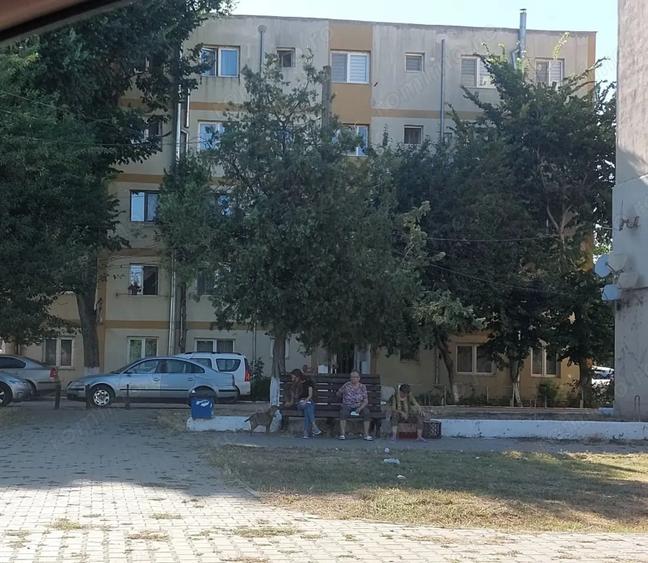 Apartament 3 camere Baia - 4