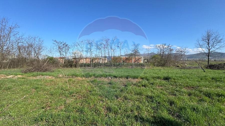 De vânzare  Teren intravilan, Merișor - 3