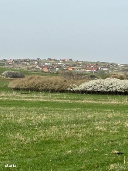 Teren de vanzare, zona Drotleff, 689 mp - 1