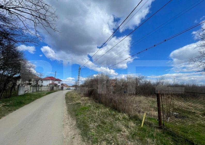 Teren intravilan de 2623 mp, in comuna Balesti - 1