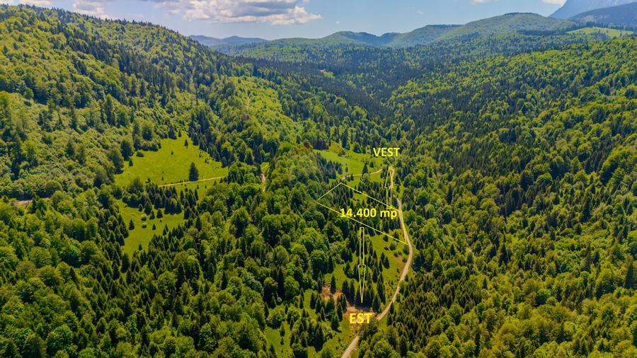 Teren extravlan 14,400mp Paraul Rece / Strada 3 brazi - 4