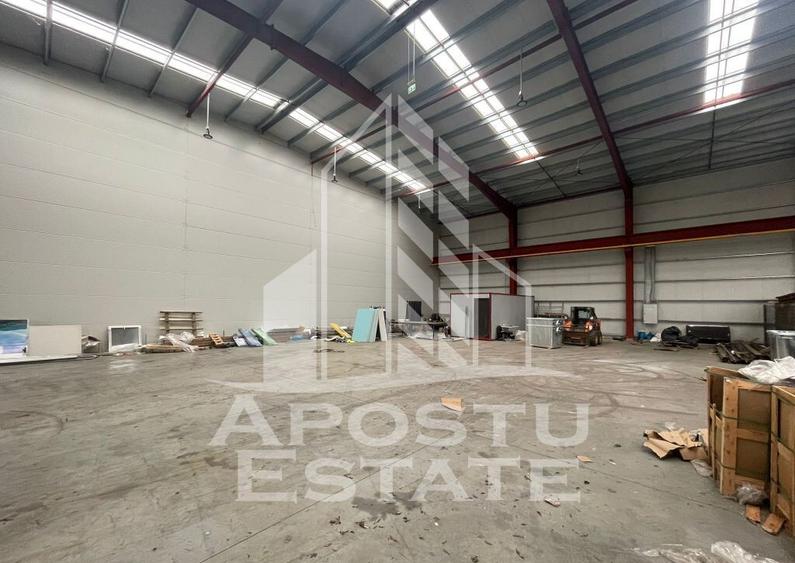 Hala 600 mp constructie noua Sacalaz - 5