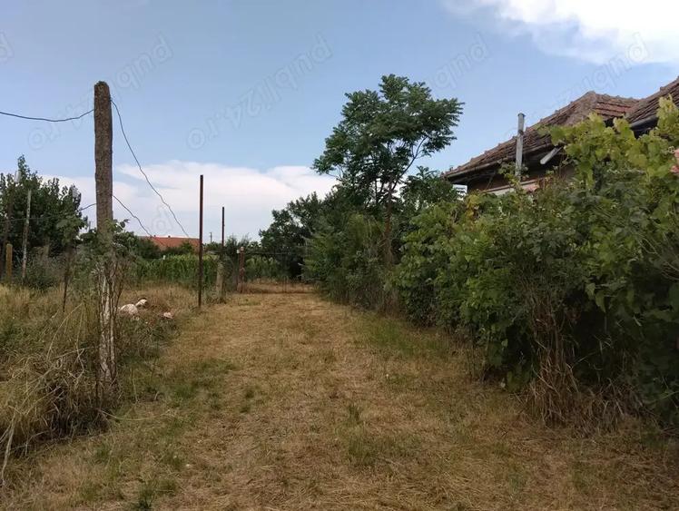 Casa de vanzare in Domanesti - 6