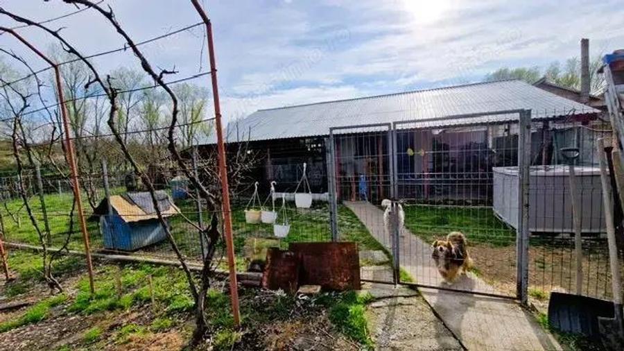 Casa P+M cu 1500 mp teren intravilan in Valea Mare - 5