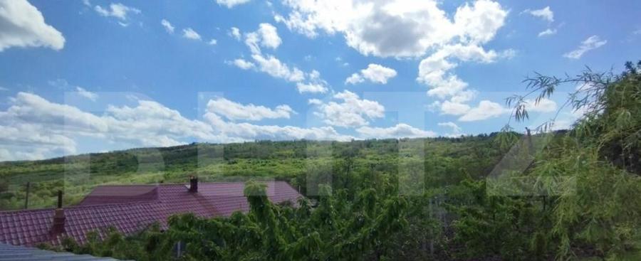 Casa+ casa vacanta, 2200 mp livada, Schitu-Duca - 6