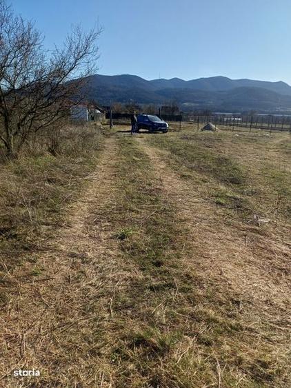 Teren de vanzare Soimus - 4