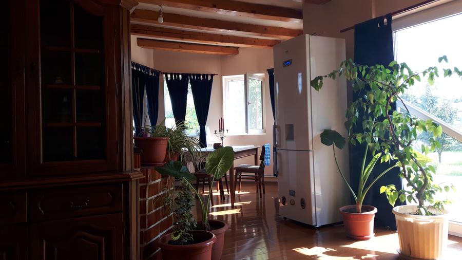 Refugiul Tău Verde: Casă Spațioasă cu Livadă, Anexe și Panouri Solare - 13