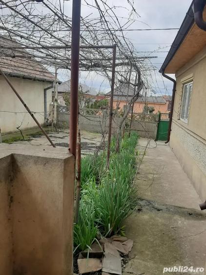 Casa de vanzare Mihail Kogalniceanu - 9