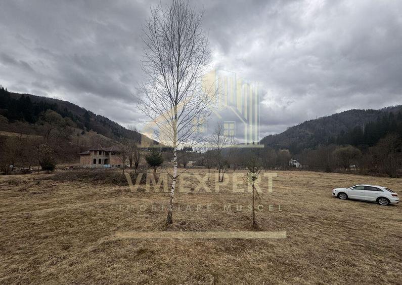 TEREN INTRAVILAN 500 MP SATIC- RUCAR - 15