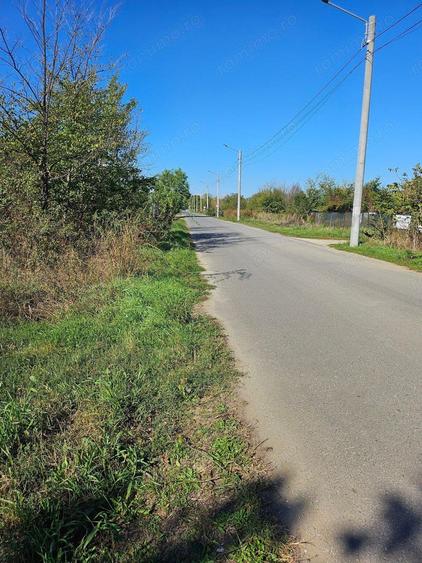 Comuna 1 Decembrie, Jud. Ilfov, teren strada Sperantei - 4