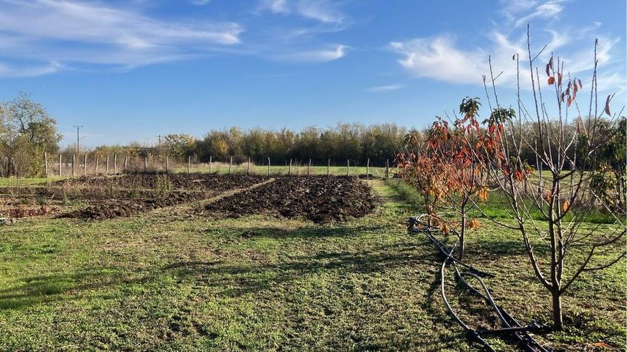 Teren 6.150 mp intravilan Gradistea, Ilfov - 8