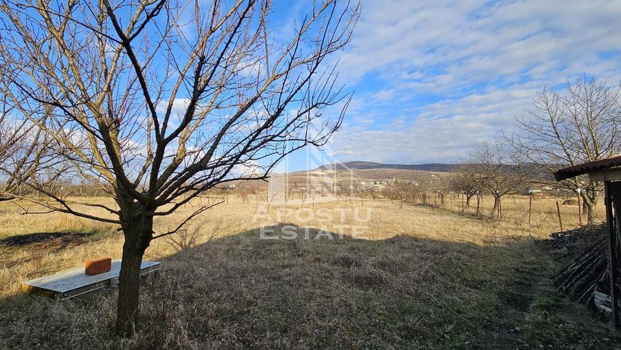 Vila de vanzare in Ghioroc - 3