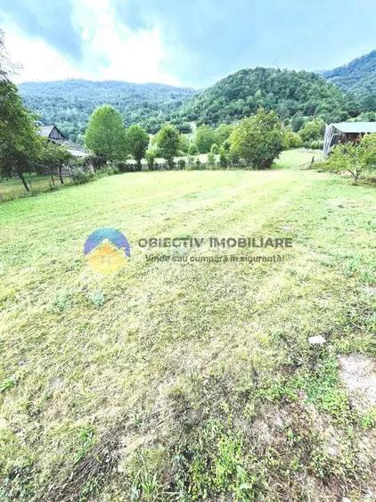 TEREN intravilan comuna TARCAU - STRAJA