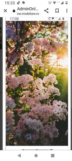 Constanta- teren intravilan - 3