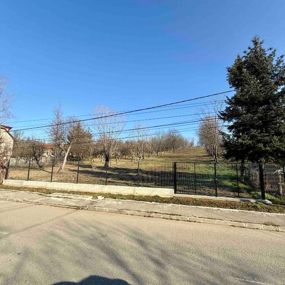 Teren Pucioasa 4800m Deschidere 19m la Str Garofitei Intravilan - 3