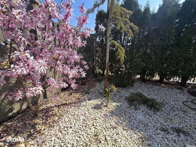 Am de vanzare duplex, Timisoara, mobilat si utilat, proprietar - 11