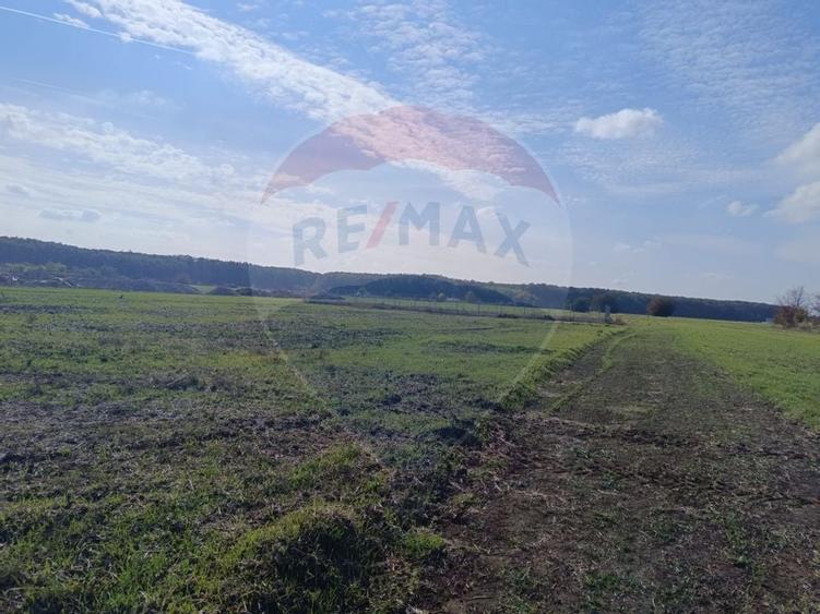 Teren 800mp Ghermanesti / Soseaua Ghermanesti - 8