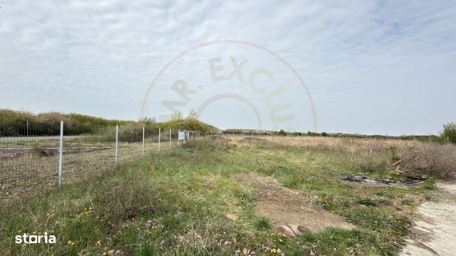 Teren Intravilan 1300 mp / Extravilan 3.700 mp/ DJ 196B Carei (DN 1F) - 4