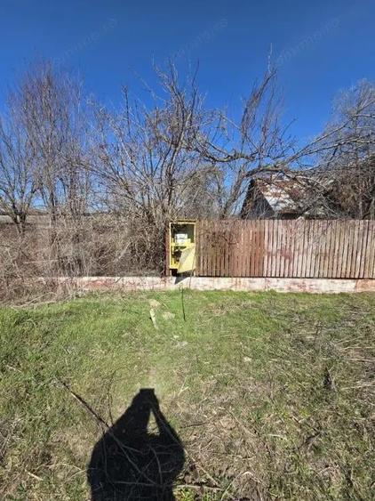 Business Agro-Industrial , 8.032 mp Cur?i Construc?ii , 130m Deschidere - 1