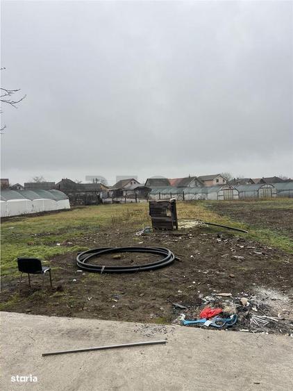 RECO casa 4 camere Livada de Bihor - 4