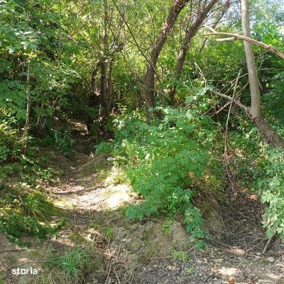 Vand teren intravilan sat Gura Vaii comuna Girov - 5