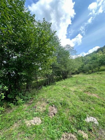 Teren 2 hectare pe Valea Ariesului, zona Scarita-Belioara, pret oportun 2 Eur/mp - 5