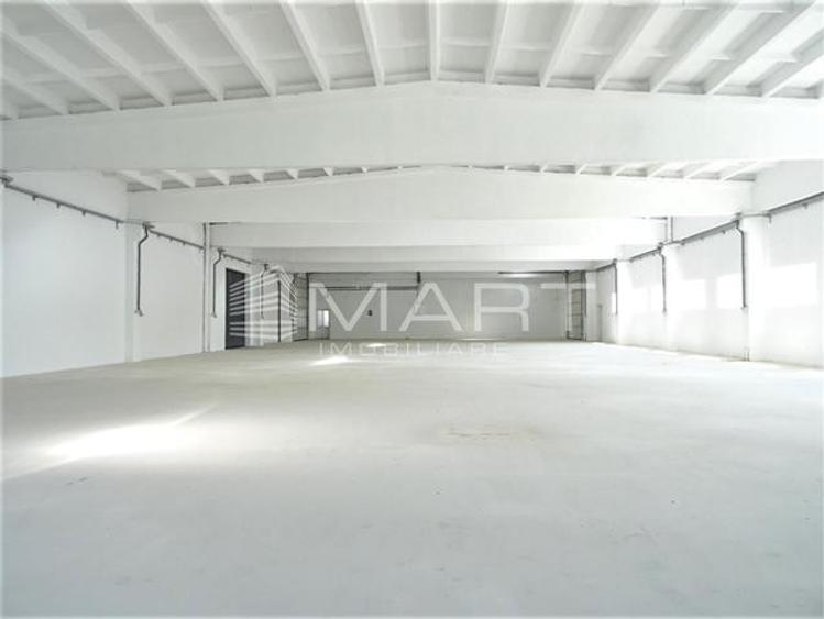 Hala industriala acces TIR, 1000mp Cisnadie - 4