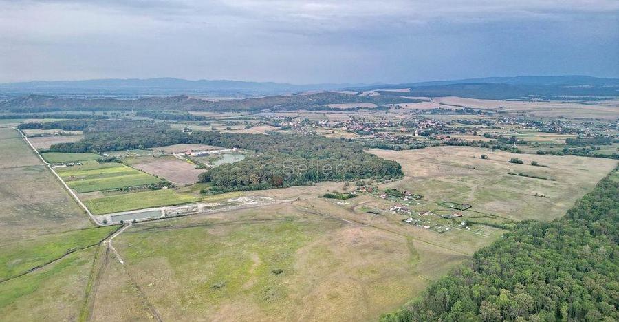 Teren Extravilan - 7