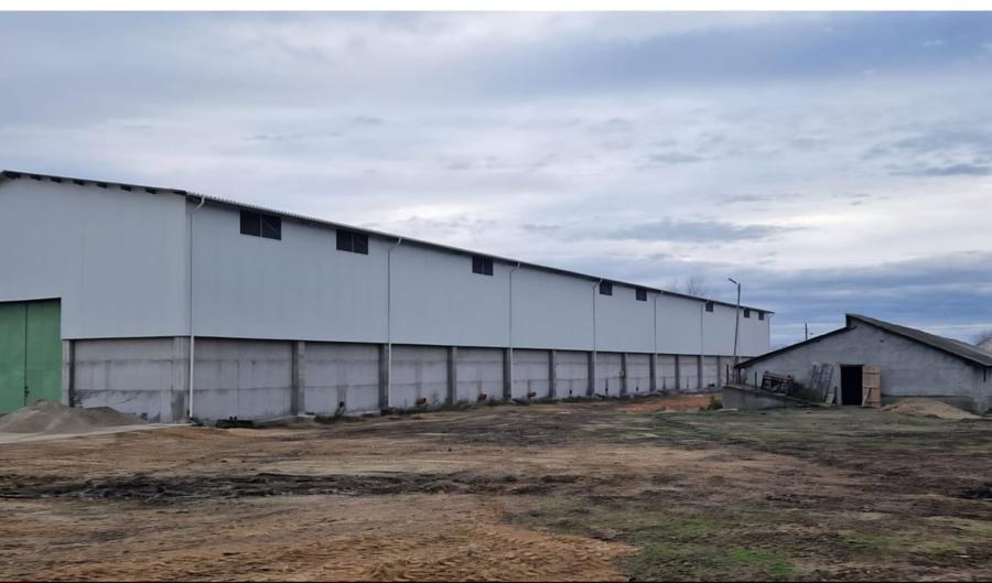 Proprietate agroindustriala, hala 1590 mp, teren 28000 mp, panouri 398 kWp - 3
