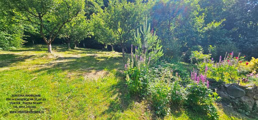Casă cu 5 camere cu Teren 5600 Mp în Exterior Nord